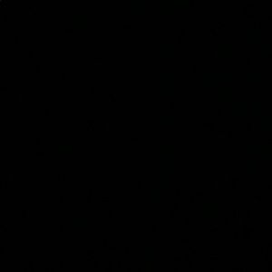 Meet your Posher, Rigil